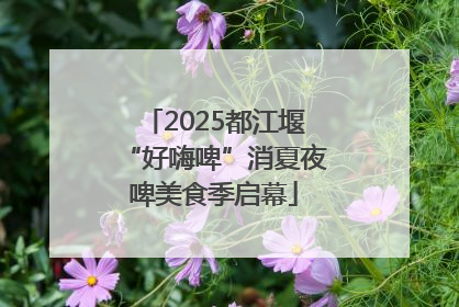 2025都江堰“好嗨啤”消夏夜啤美食季启幕